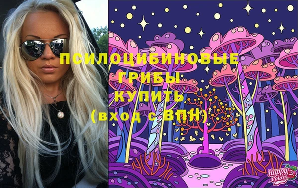 хмурый Абаза