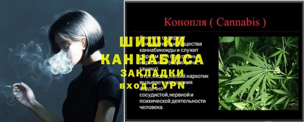 хмурый Абаза