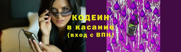 хмурый Абаза