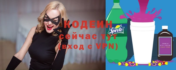 хмурый Абаза