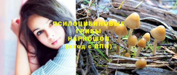 хмурый Абаза