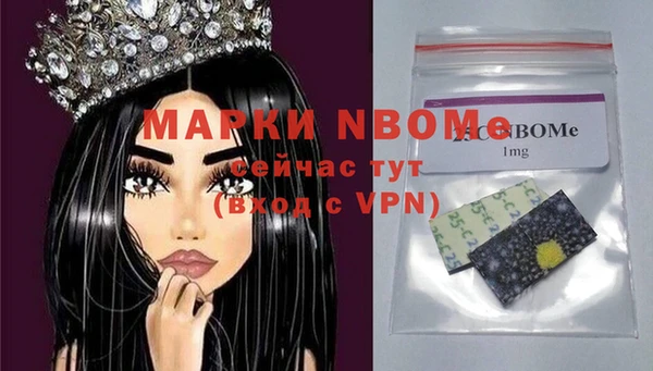 хмурый Абаза