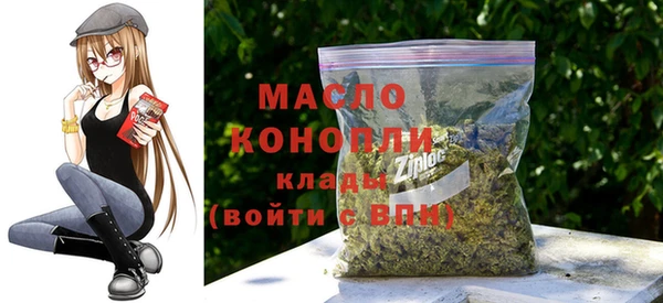 хмурый Абаза
